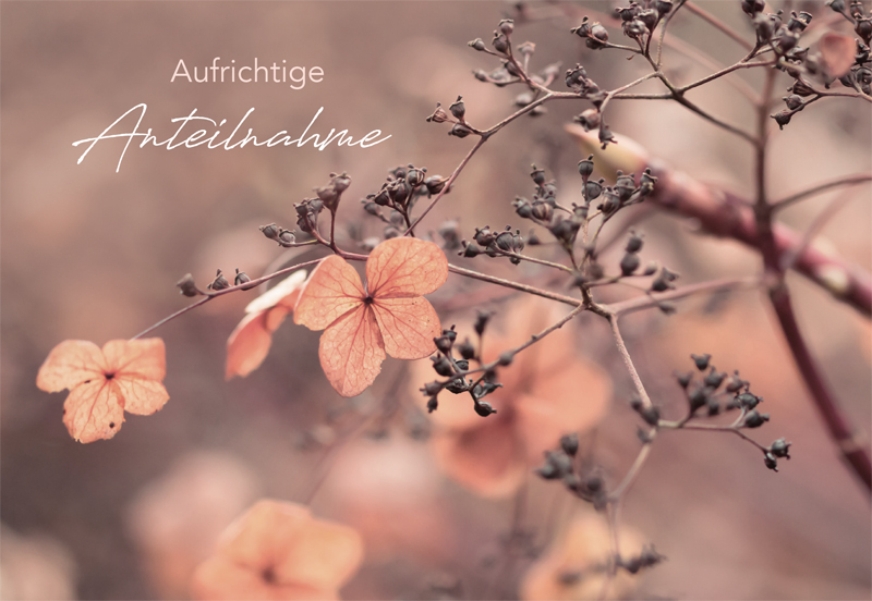 Lichtblicke Trauer Doppelkarte