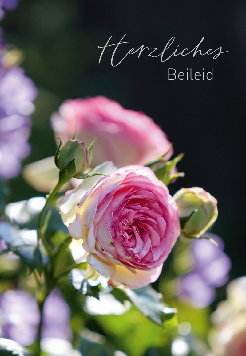 Lichtblicke Trauer Doppelkarte