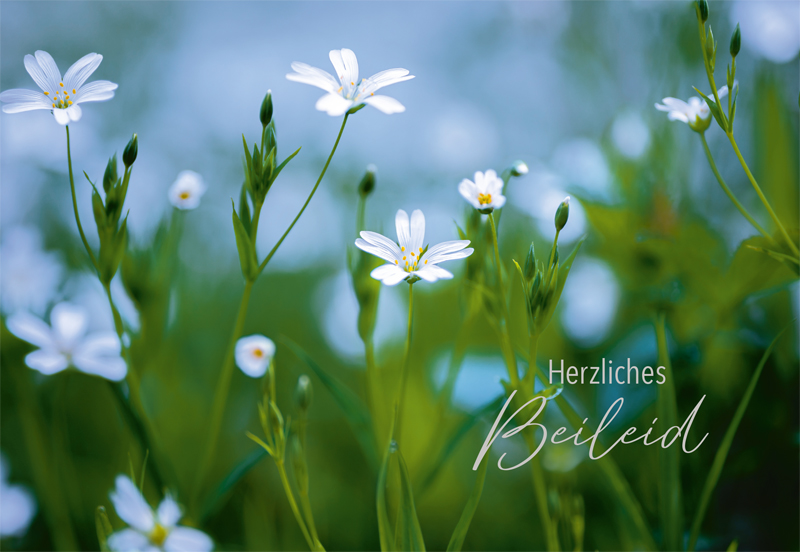 Lichtblicke Trauer Doppelkarte