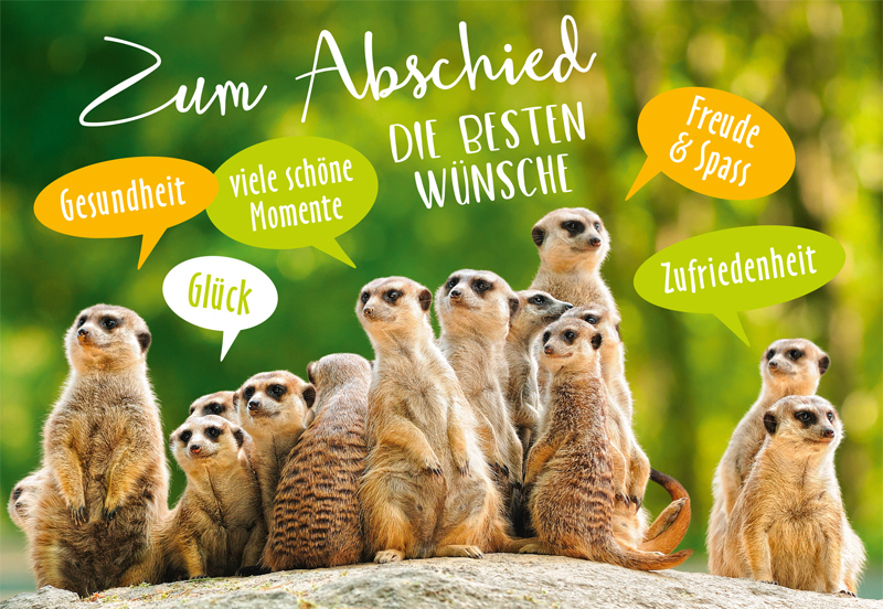 Lichtblicke Doppelkarte