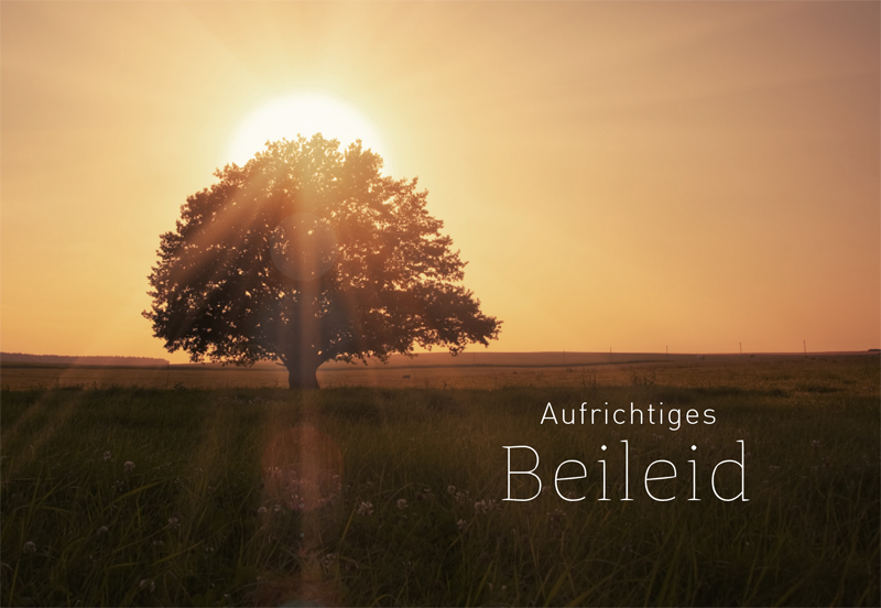 Lichtblicke Trauer Doppelkarte